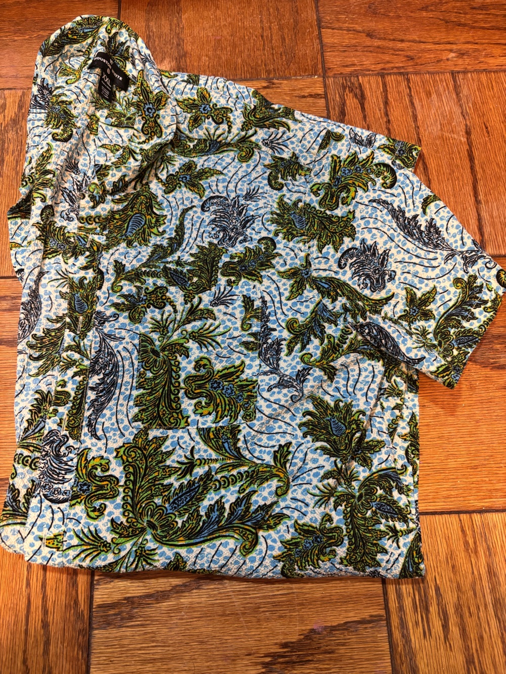 Men's Casual Paisley Button-Down Shirt — Green/Blue